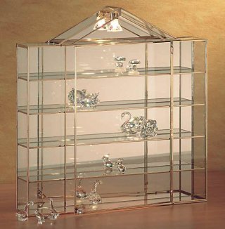 Luxury collectors case Memory